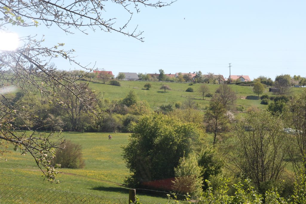 Blick aus dem Bienenhaus auf die Streuobstbäume und Wiesen bei Breitenstein (30.04.17)